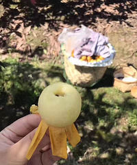 "塘栖枇杷到底白沙好吃还是红的好吃?"