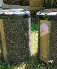 ����!12��ֻ�۷�������컨�� Ů��2����δ���