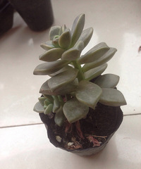 ���ʶ���������ʲô���