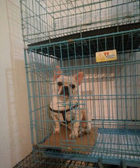 �������������ͼ�����