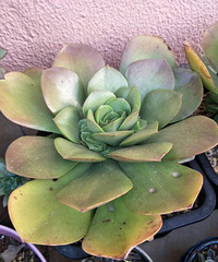 ��ͬ״̬�ķ�ʦ