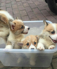 �»��������Գ��ѣ��Ѵ������룬ƭ����·��