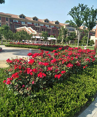 �ѵó�������