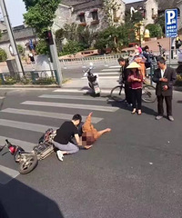 ������ͷ���ҳ�����������綯�����ƴ���ƣ���С��ײ�����ȷ���