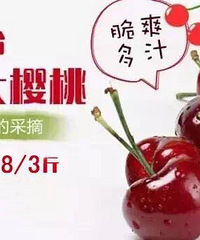 "【预售】一年采摘一次的大樱桃预定开始啦!错过这次再等一年!"