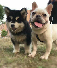 �������ǳ�����