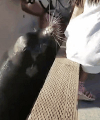 ̫���գ�СŮ�����߱���ʨק��ˮ