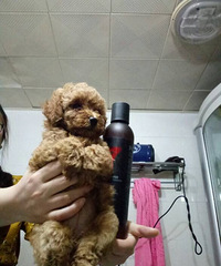 ���ۼ�������̩�����꽷������600��ĸ700