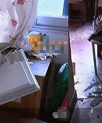 客户端精选花坛