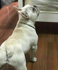�������ͼ۳���