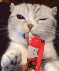 һֻ��insȦ��35��Ĵ��۾����㿴�����ܵ���