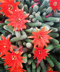 ��ô�����̲�ס������