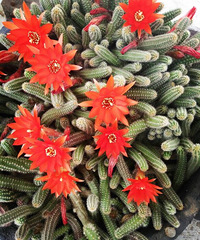 ��ô�����̲�ס������