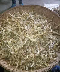 希望有你爱