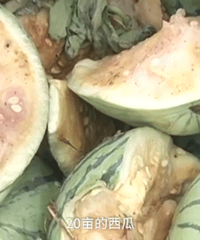 �ܺ������Ĳ����ϣ��ƻ�ũ��9ǧ���