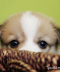 �»���������������