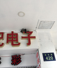 杭州的武林路上可谓是燕子的天下 为啥这么说?