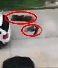 4岁男童小区内被碾身亡,家人伤心欲绝…网友谴责更多的却是家