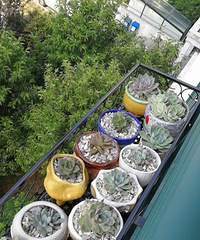 ���˻���