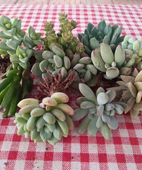 �ɰ������⣬���Ķ�����