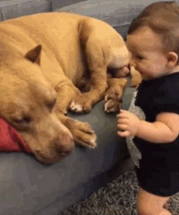 ��������Ķ���С���ر�����