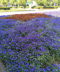 ����һ��Ҳɹ��һ��