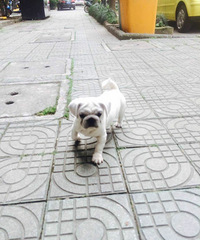 Ѱ�ҹ�������ɫ���͸�