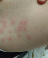 Ů�����ȸ������������