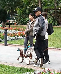 杨幂当妈妈不称职?总算有知情人站出来说话了…