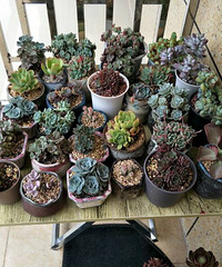 ����һ���ֵ�¥��