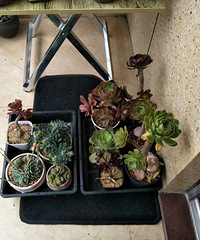 ����һ���ֵ�¥��