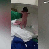 ����������������ߣ���������Χ��