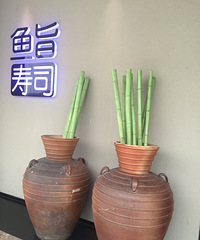 "想了好久的鳗鱼饭"