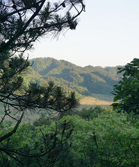 >大明山露营记