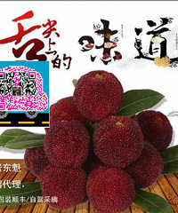 教你如何选好杨梅