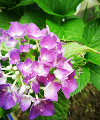 Ϊʲô������ôС�أ�����������?��˵ȥ��