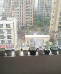 ����С����������