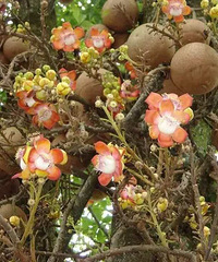 ����һ��������һ��������⡱����ʵ����ȴ�����ᱬը