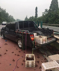 С��Ϻ�İ�Ľ��ͬһ·��һ���·���5����Ϻ����