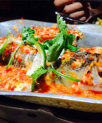 �������̩ʽ���������� ζ��hin�ǿ���