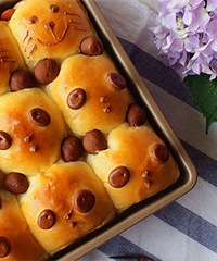 �Լ��決��������ȵ�����Ĳ� ���úÿ����ó�