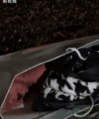 ���飡Ӥ������·�ߣ�ȫ����������