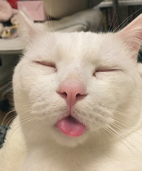 [����]��������ȥ����������Ժ������