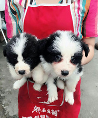 �߾�����Ȯ