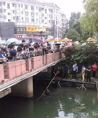 ������ĸ߿��������ţ��ȶ��Ӿ���