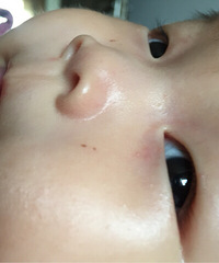 �����۽��ºö���� �ر��ǿ޹����ر��