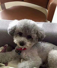 Ѱ����ʾ������1Ԫ��