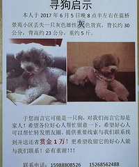 Ѱ����ʾ������1Ԫ��