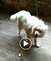 ����Ҫ��ĦҮ���߸��¡�