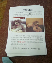 Ѱ����ʾ����һ��Ԫ